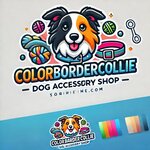 colorbordercollie